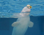 20090829-0.jpg