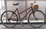 m1.jpg
