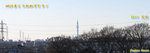 tower2011.01.01.jpg