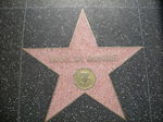 16158575_2575230526.jpg